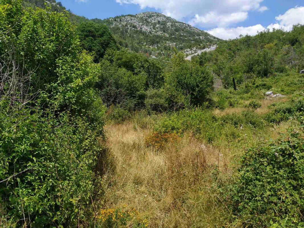 Дом в Цетине, Черногория, 64 м² - фото 14