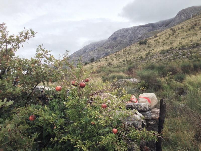 Земля в Режевичах, Черногория, 1 048 м² - фото 14