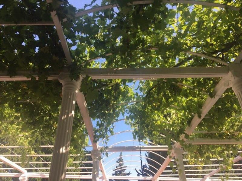 Офис в Сутоморе, Черногория, 431 м² - фото 19