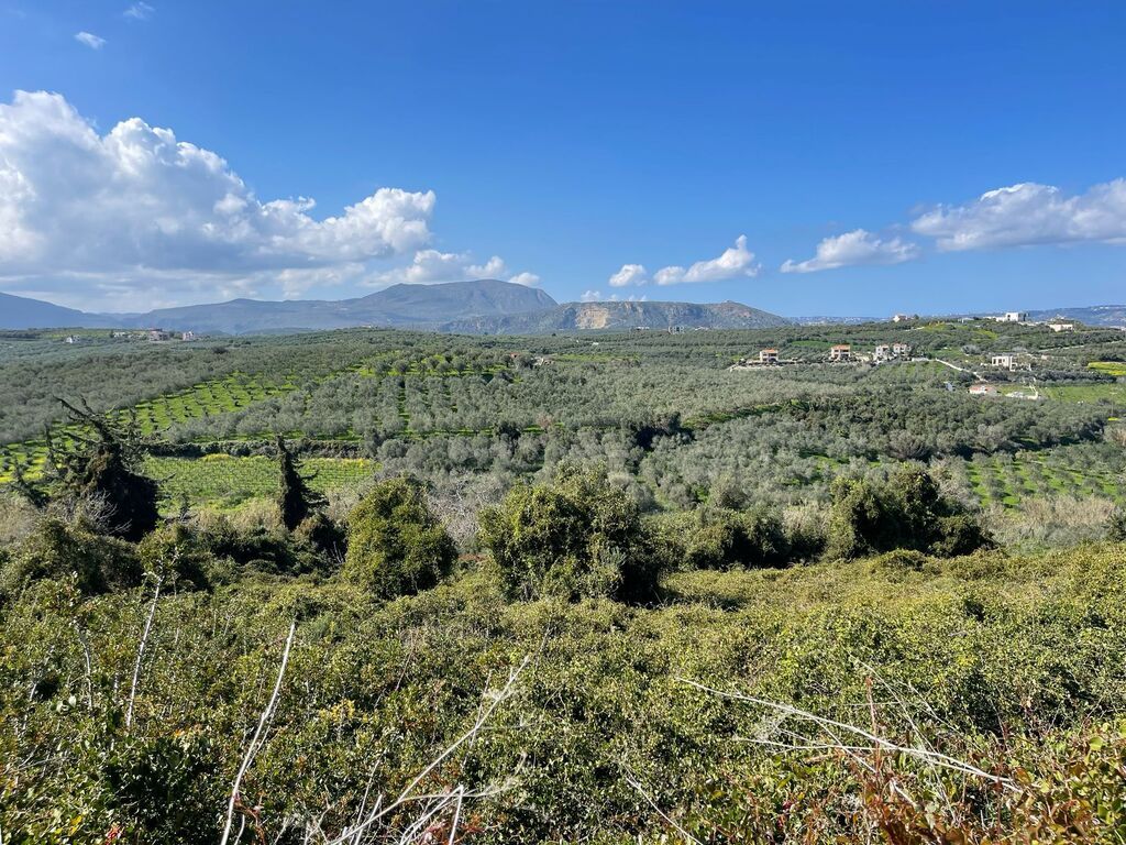 Земля в Ираклионе, Греция, 6 350 м² - фото 3