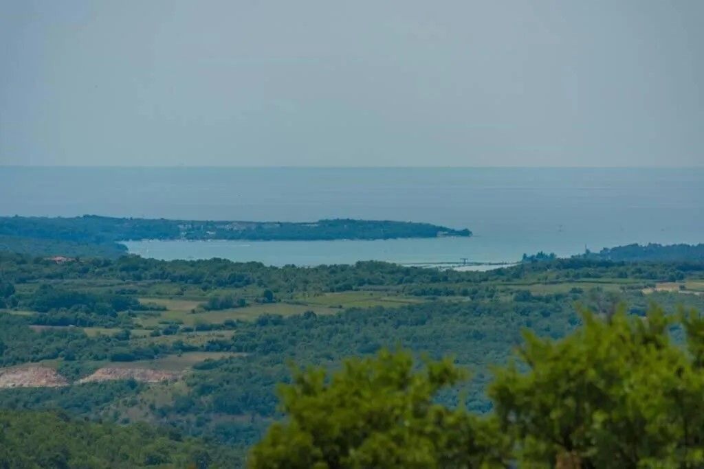 Вилла в Буйе, Хорватия, 227 м² - фото 3