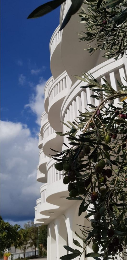 Отель, гостиница в Нови-Винодольски, Хорватия, 1 134 м² - фото 6