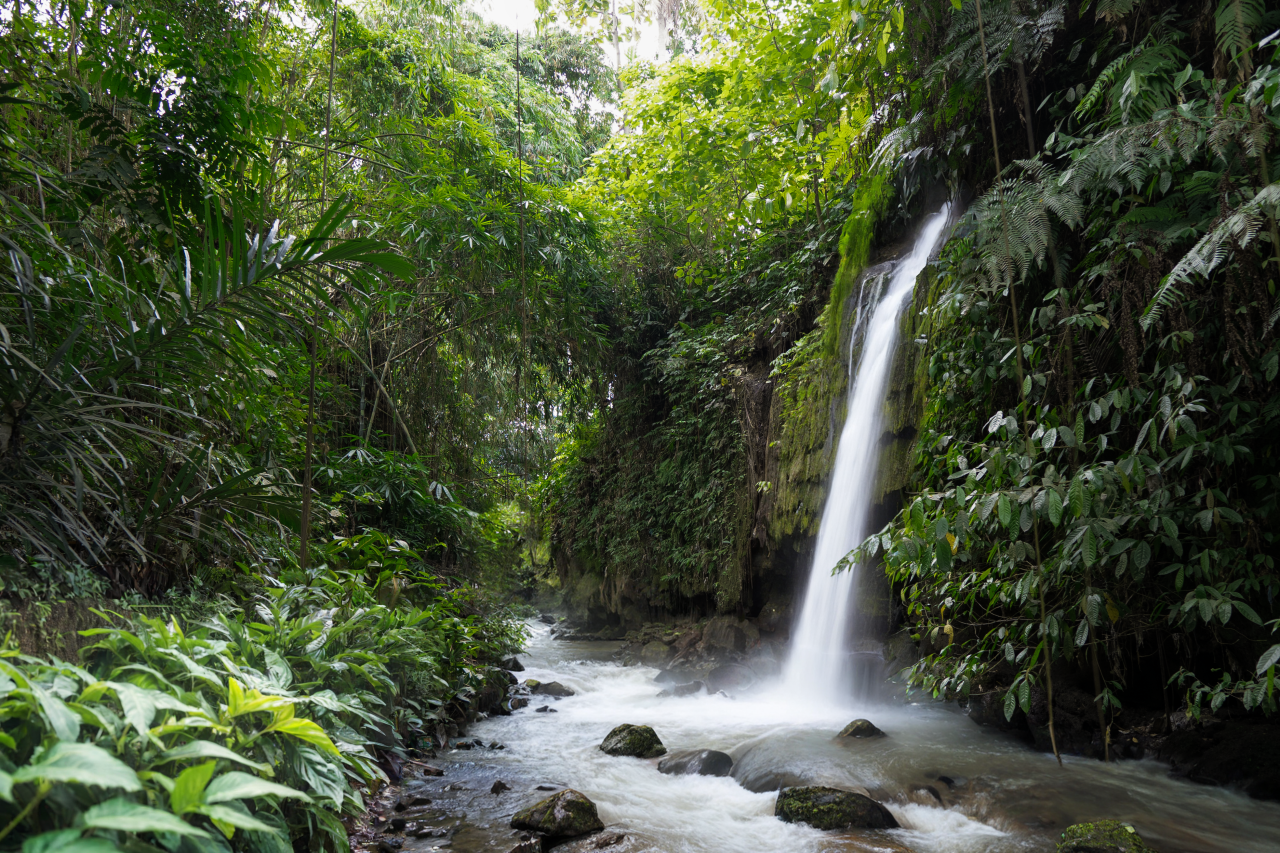 Вилла в Убуде, Индонезия, 121 м² - фото 7