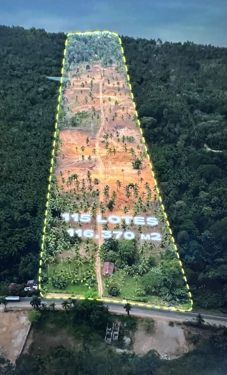 Земля в Самане, Доминиканская Республика, 290 м² - фото 3