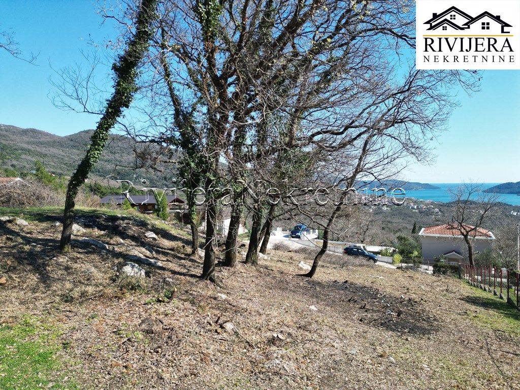 Земля в Херцег-Нови, Черногория, 1 482 сот. - фото 3