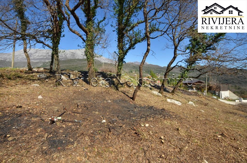 Земля в Херцег-Нови, Черногория, 1 482 сот. - фото 8