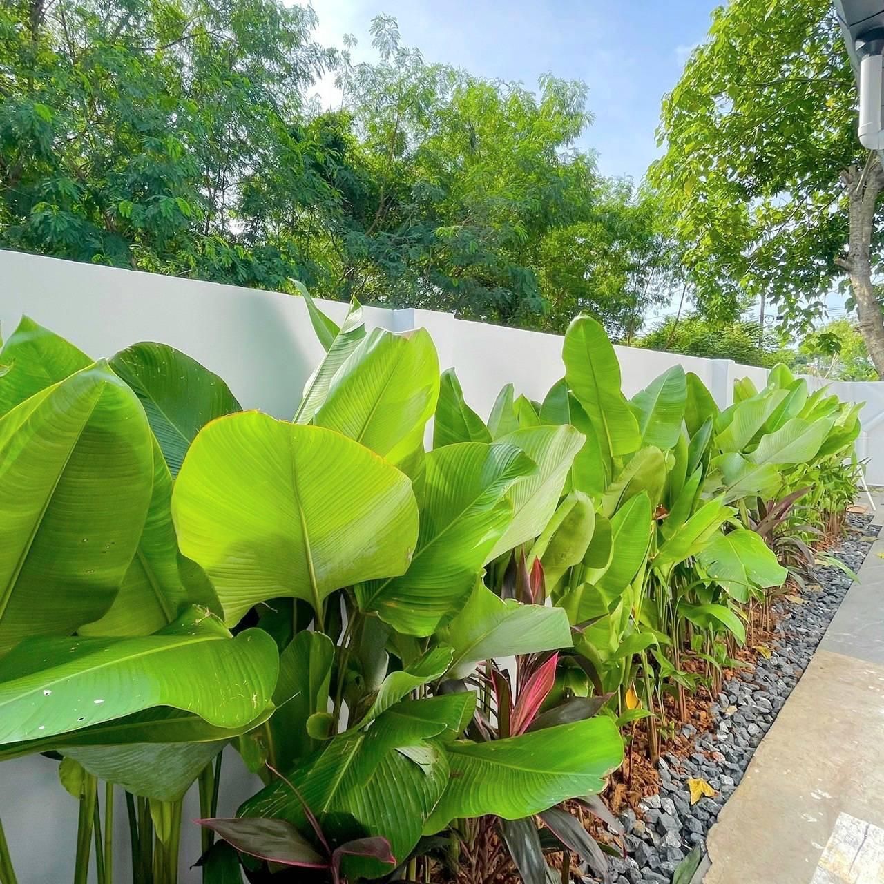 Вилла на Пхукете, Таиланд, 320 м² - фото 15