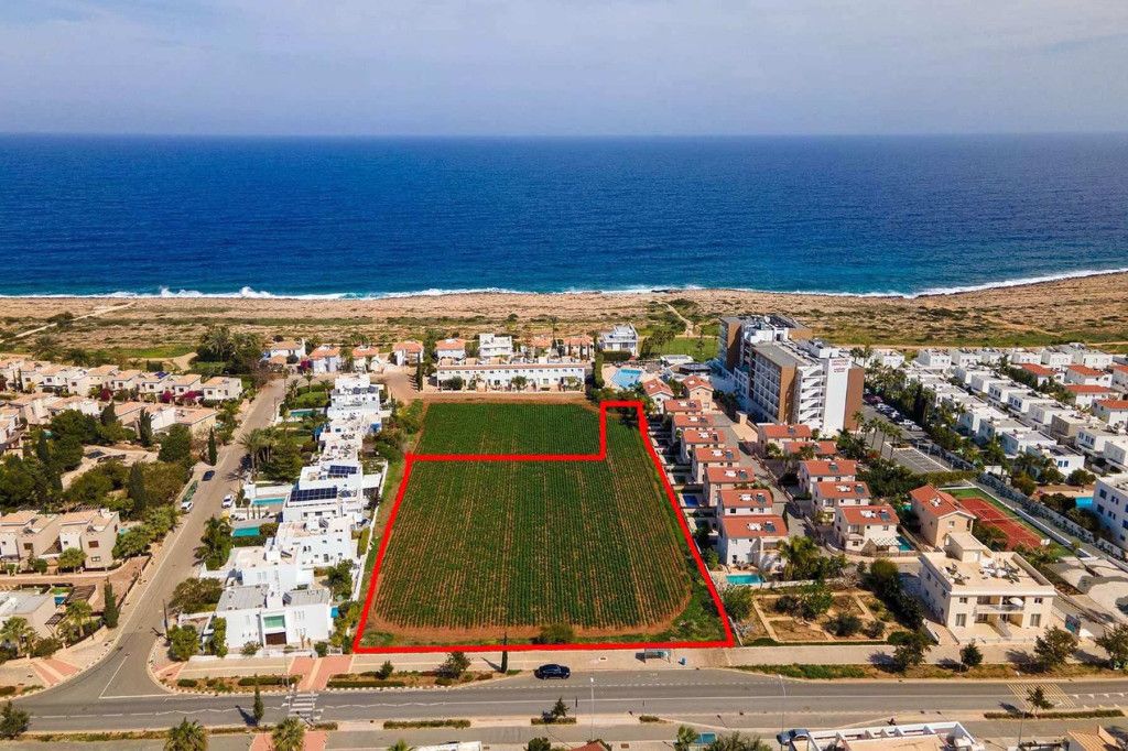 Кафе, ресторан в Протарасе, Кипр - фото 4