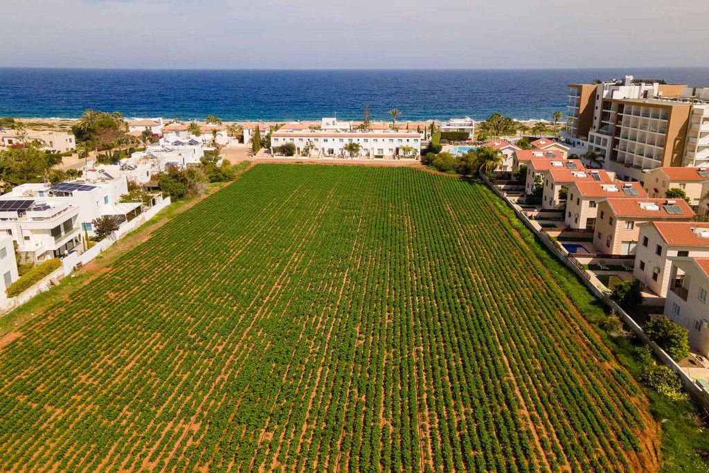 Кафе, ресторан в Протарасе, Кипр - фото 5