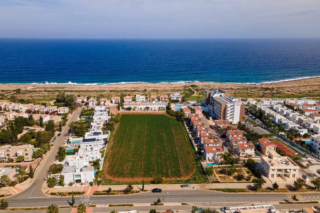 Кафе, ресторан в Протарасе, Кипр - фото 6