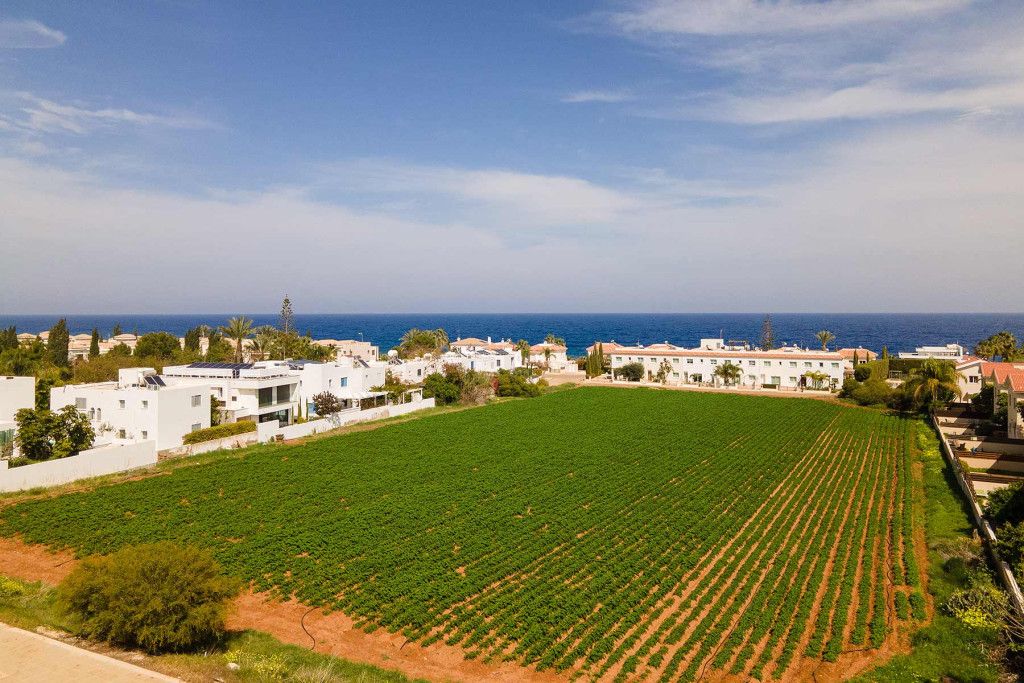 Кафе, ресторан в Протарасе, Кипр - фото 9