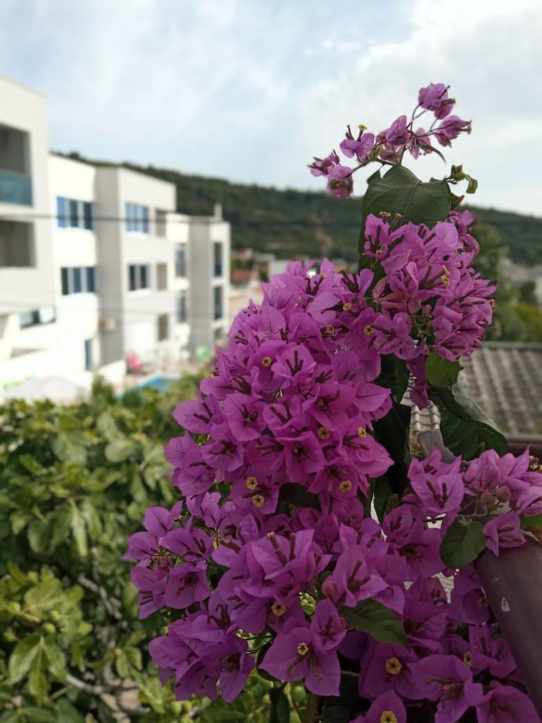 Дом в Утехе, Черногория, 199 м² - фото 8