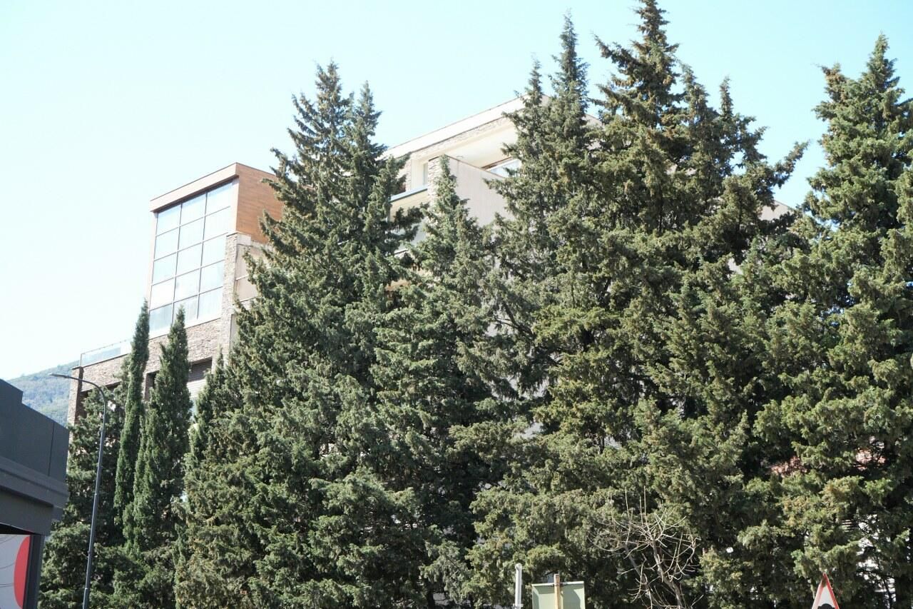 Квартира в Будве, Черногория, 118 м² - фото 5