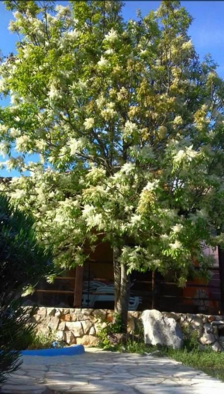 Вилла Valtura, Ližnjan, Хорватия, 530 м² - фото 6