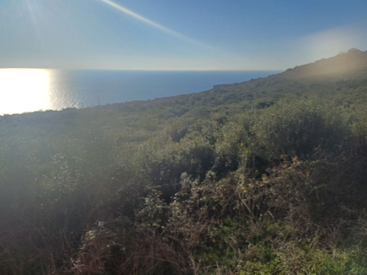 Земля в Кримовице, Черногория, 1 000 м² - фото 5