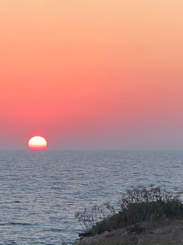 Таунхаус в Пафосе, Кипр, 96 м² - фото 2