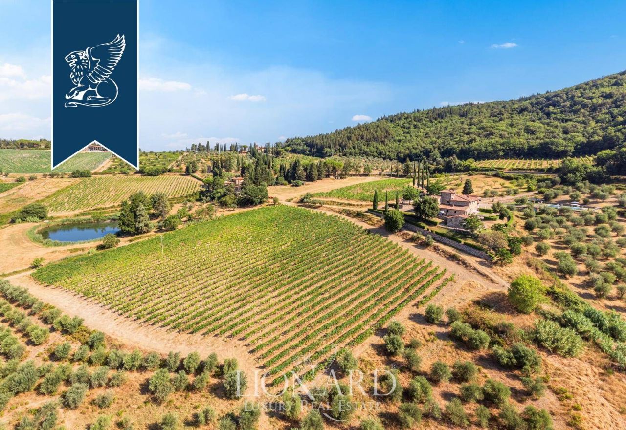 Ферма в Кастеллина-ин-Кьянти, Италия, 4 200 м² - фото 5