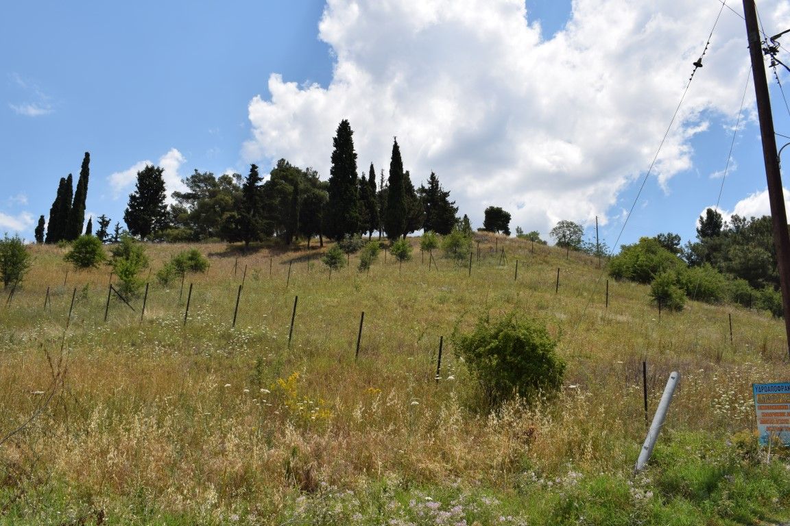 Земля в Салониках, Греция, 596 м² - фото 2