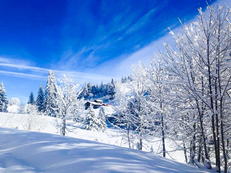 Отель, гостиница в Морзине, Франция, 450 м² - фото 13