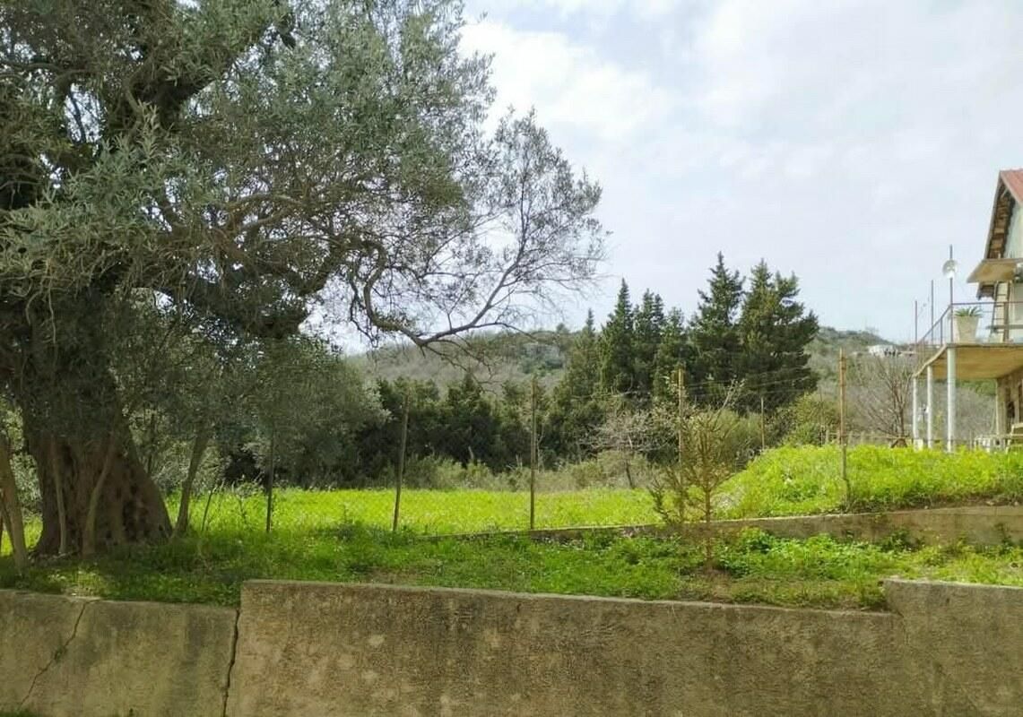 Дом в Шушани, Черногория, 220 м² - фото 6