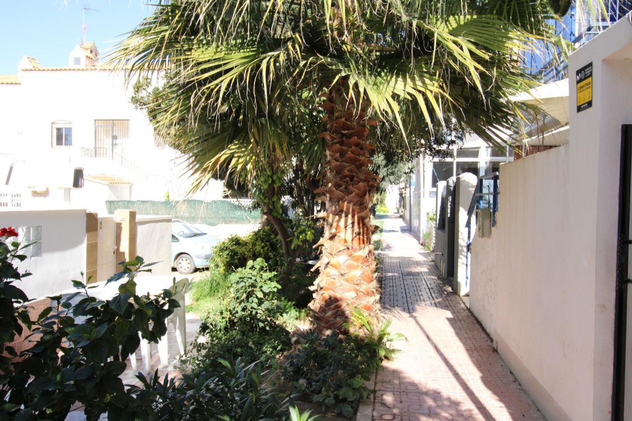 Бунгало в Торревьехе, Испания, 32 м² - фото 15