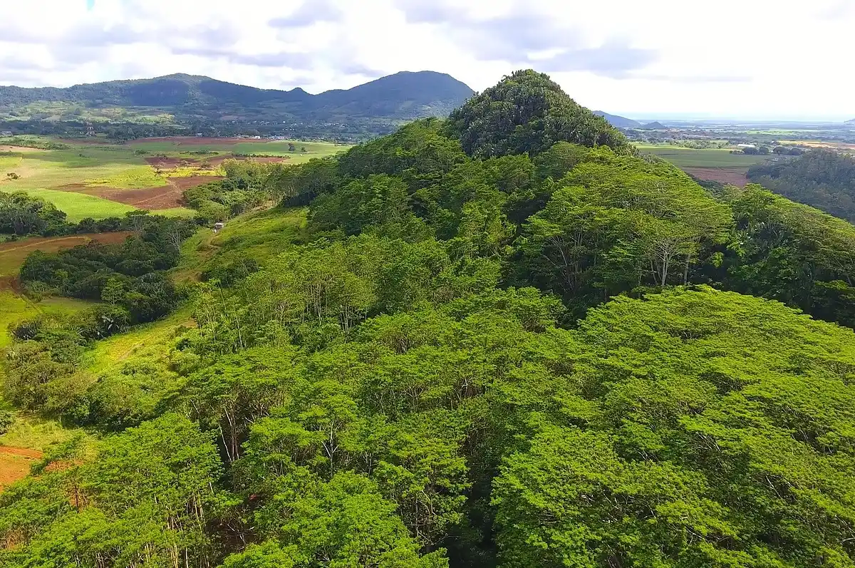 Коммерческая недвижимость в Сантр-де-Флаке, Маврикий, 150 000 м² - фото 3