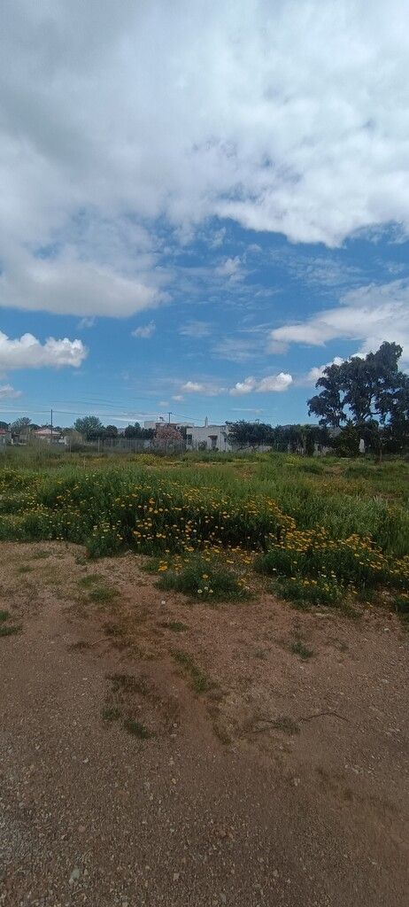 Земля в Афинах, Греция, 768 м² - фото 3