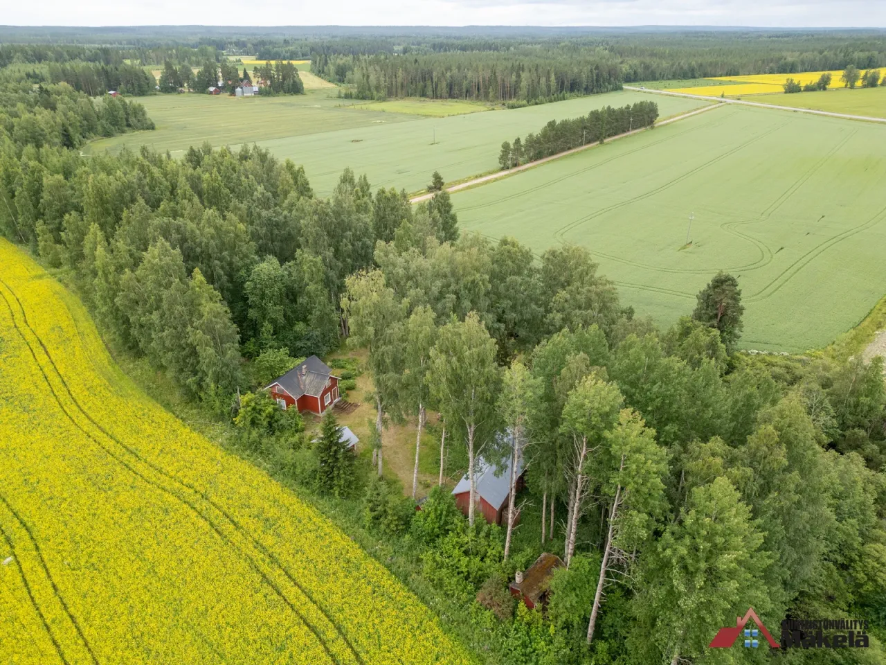 Коттедж в Сейняйоки, Финляндия, 40 м² - фото 4