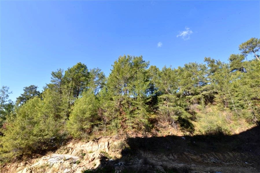 Квартира в Авсалларе, Турция, 51 м² - фото 3