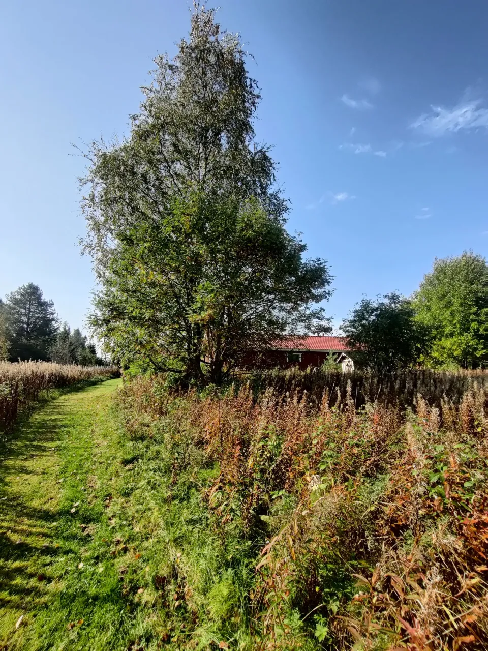 Коттедж в Соткамо, Финляндия, 35 м² - фото 6