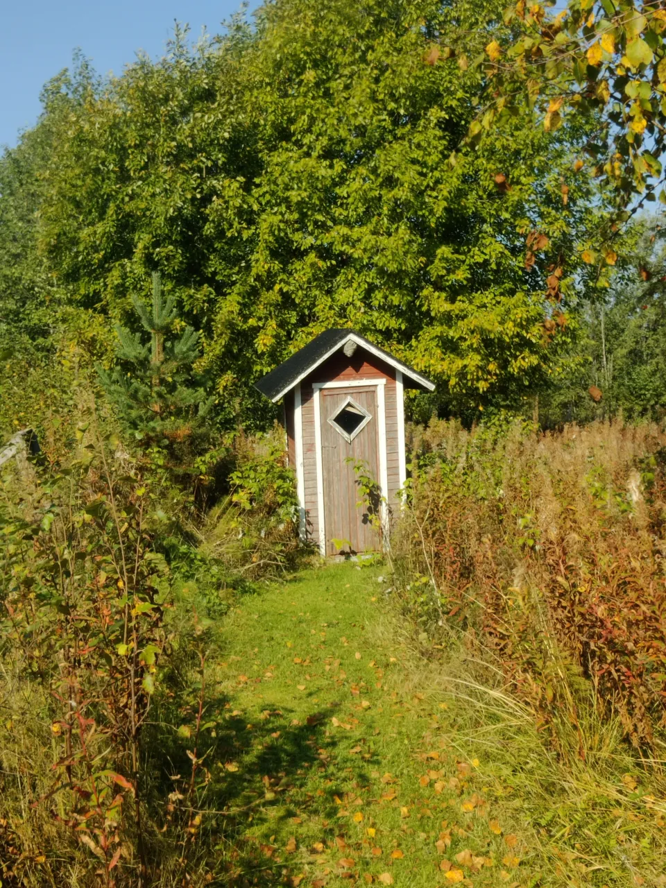 Коттедж в Соткамо, Финляндия, 35 м² - фото 7