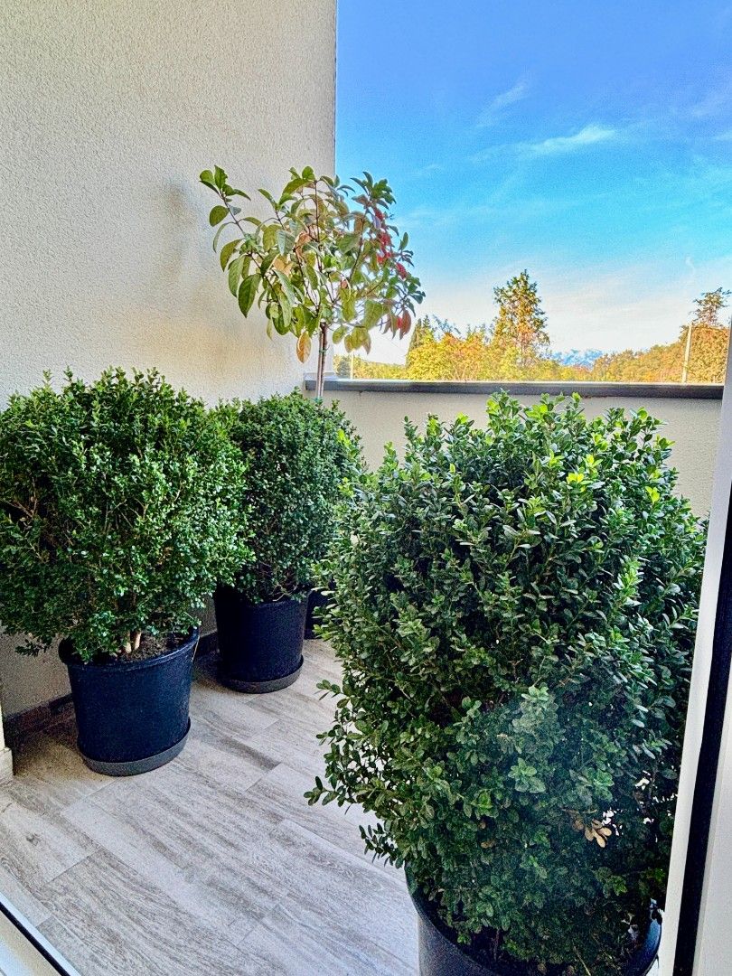 Квартира в Радановичах, Черногория, 45 м² - фото 8