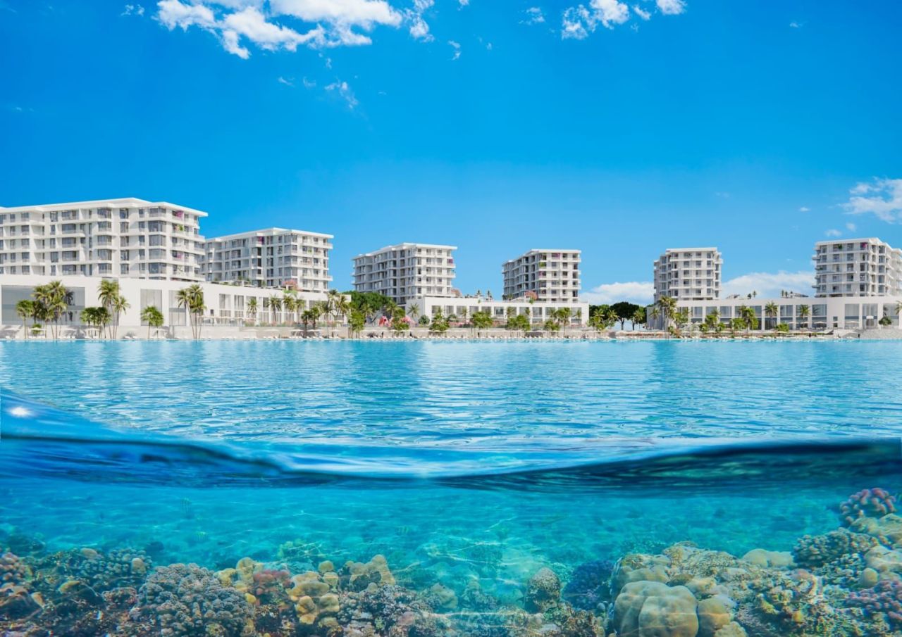 Студия в Шардже, ОАЭ, 38 м² - фото 5