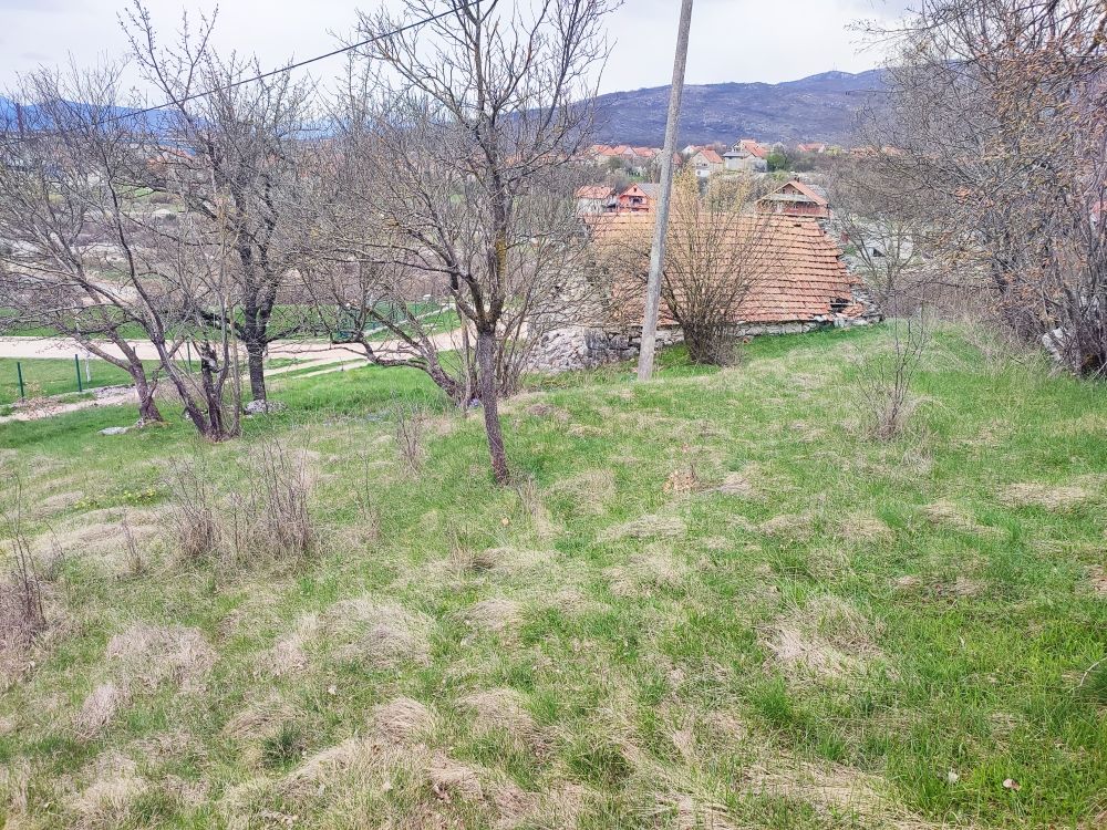 Земля в Никшиче, Черногория, 1 509 м² - фото 12