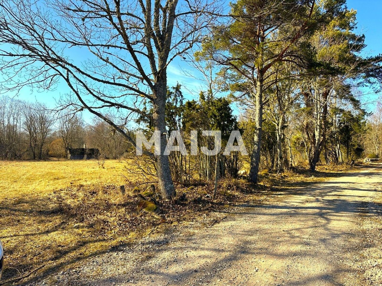 Земля на Сааремаа, Эстония, 18 255 м² - фото 11