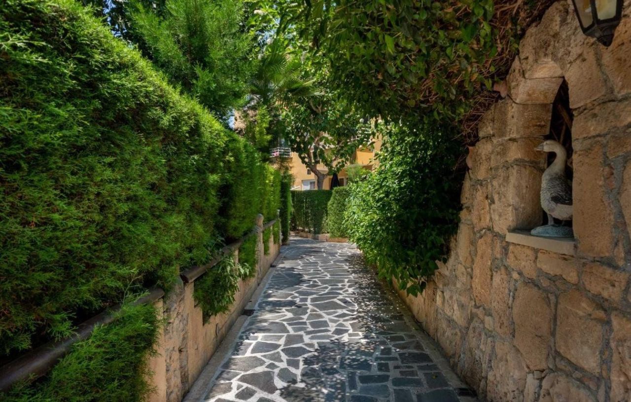 Отель, гостиница в Пафосе, Кипр - фото 2