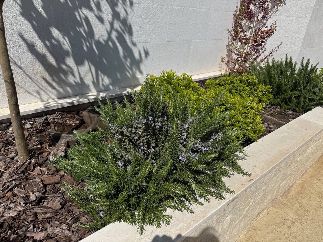 Квартира в Баре, Черногория, 33 м² - фото 9