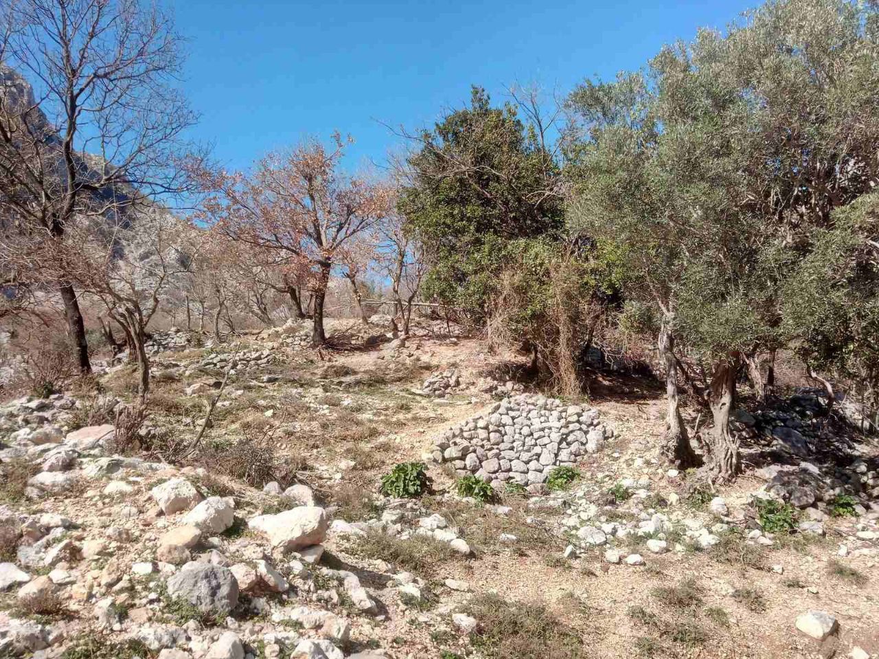 Земля в Ораховаце, Черногория, 9 600 м² - фото 3