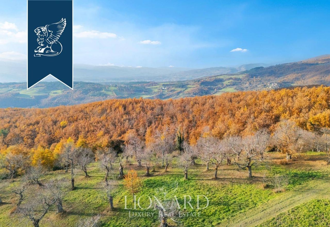 Ферма в Биббьене, Италия, 5 850 м² - фото 10