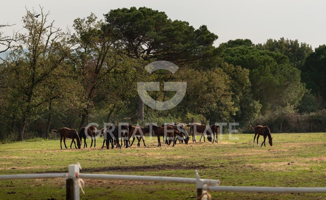 Дом в Кастильоне-дель-Лаго, Италия, 413 м² - фото 2