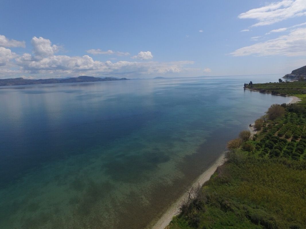 Дом на Пелопоннесе, Греция, 240 м² - фото 4