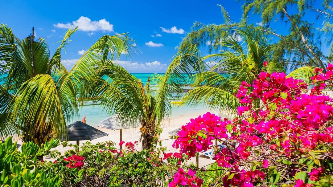 Отель, гостиница в Ла Плас Белгате, Маврикий, 11 000 м² - фото 5