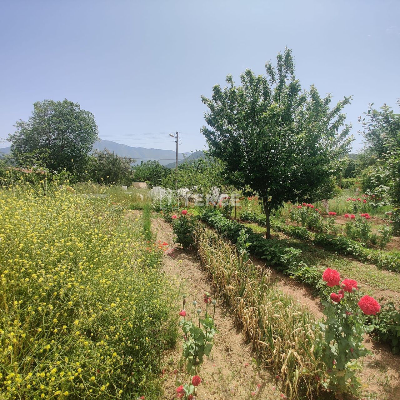 Апартаменты в Фетхие, Турция, 274 м² - фото 5