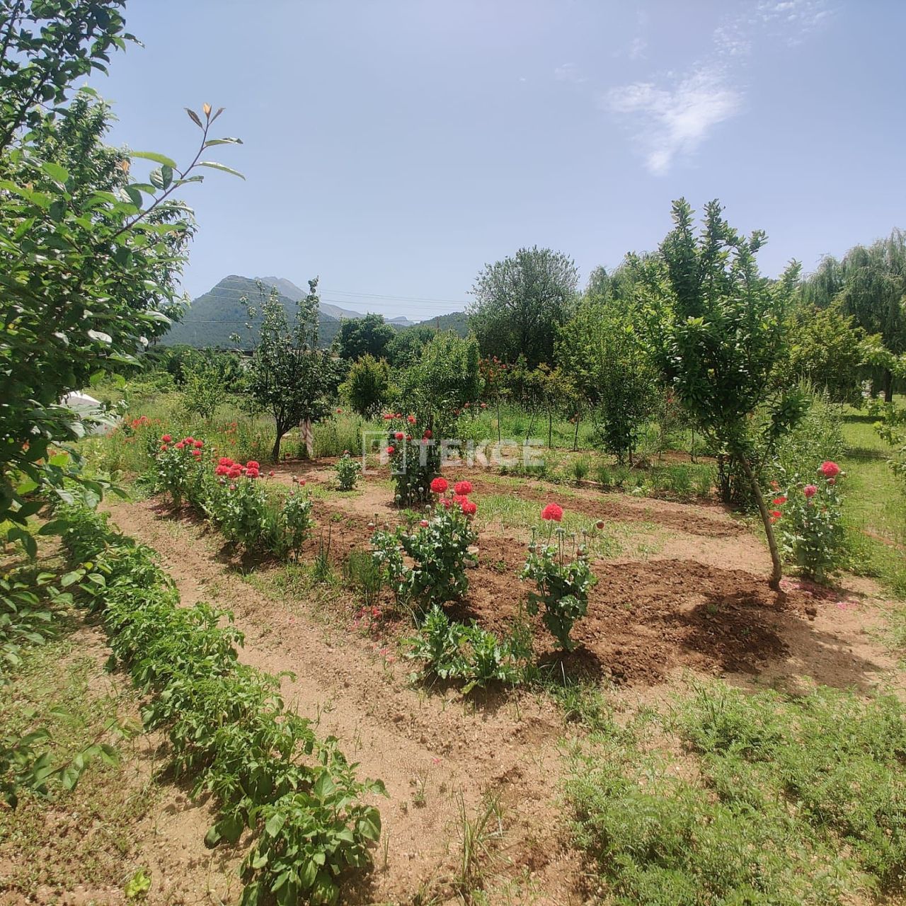 Апартаменты в Фетхие, Турция, 274 м² - фото 10