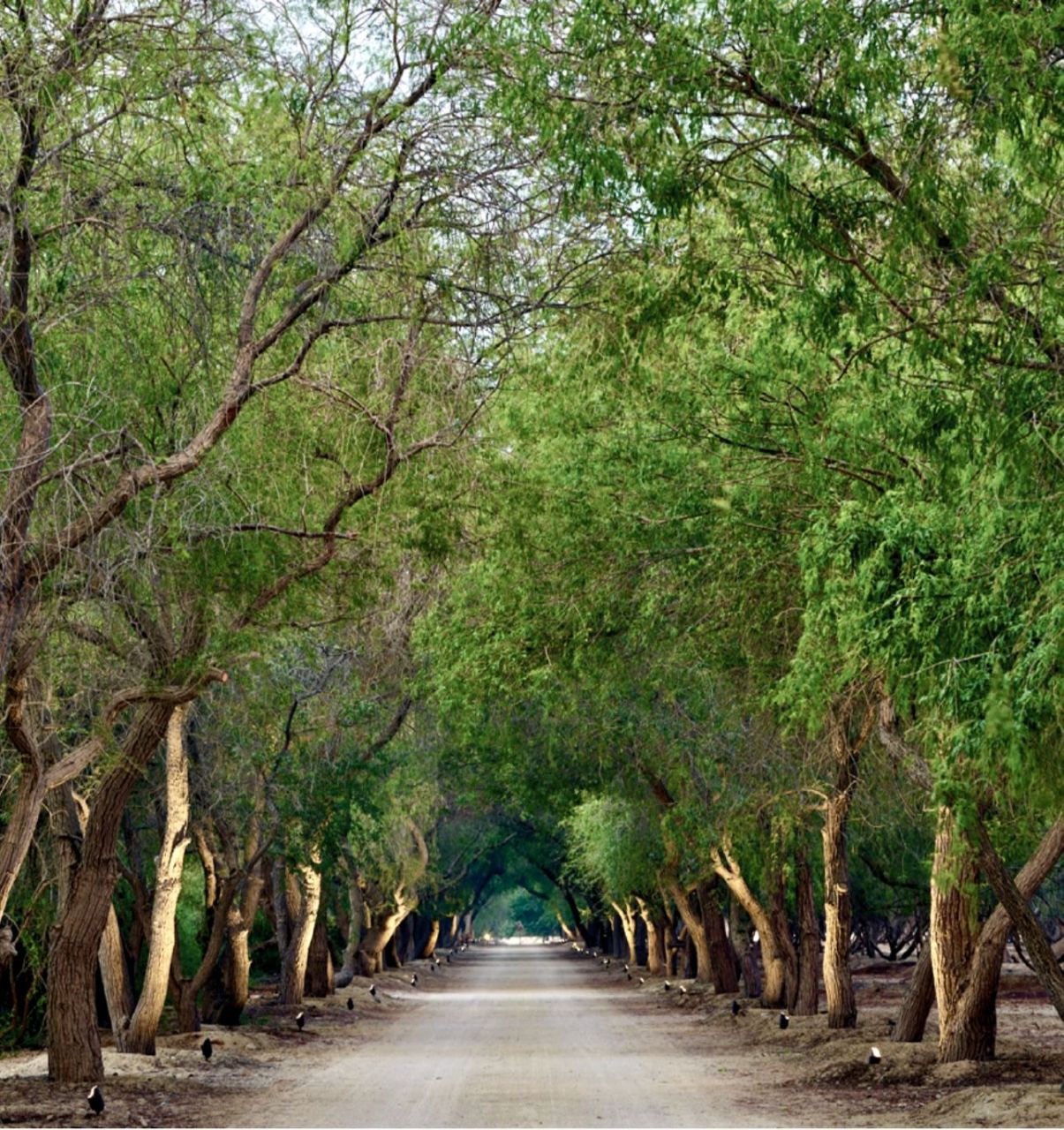 Квартира в Дубае, ОАЭ, 70 м² - фото 11