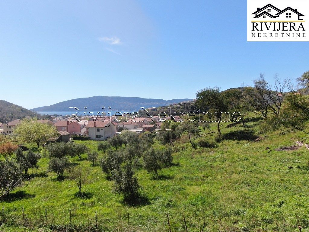 Земля в Херцег-Нови, Черногория, 799 сот. - фото 5