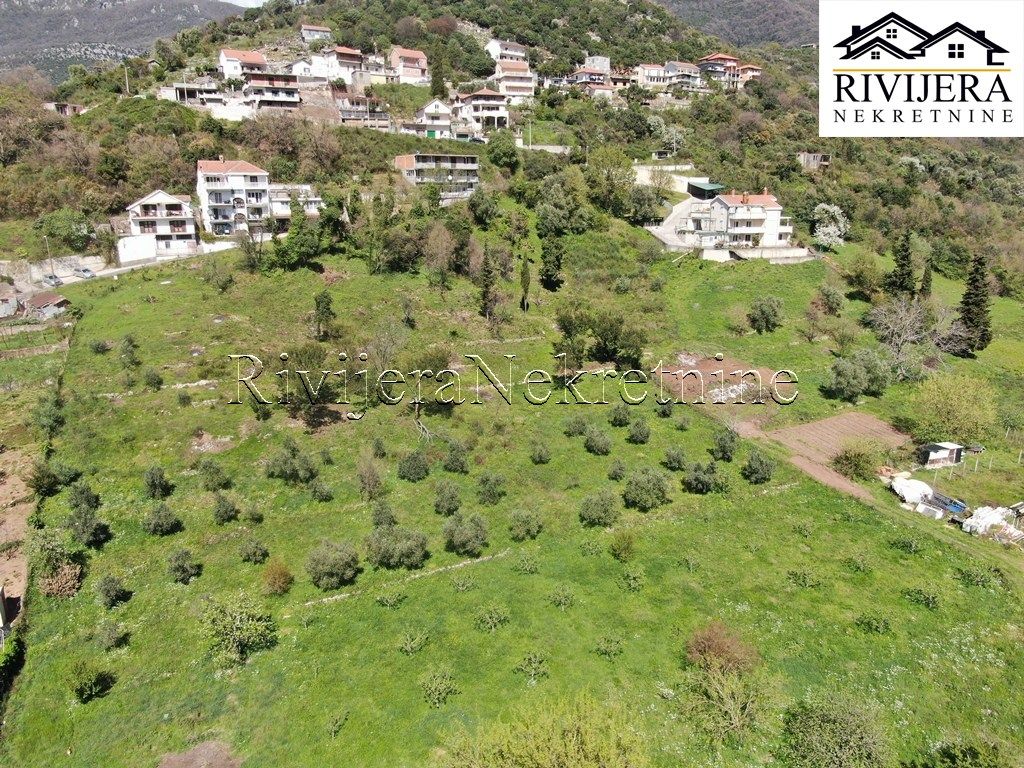 Земля в Херцег-Нови, Черногория, 799 сот. - фото 7