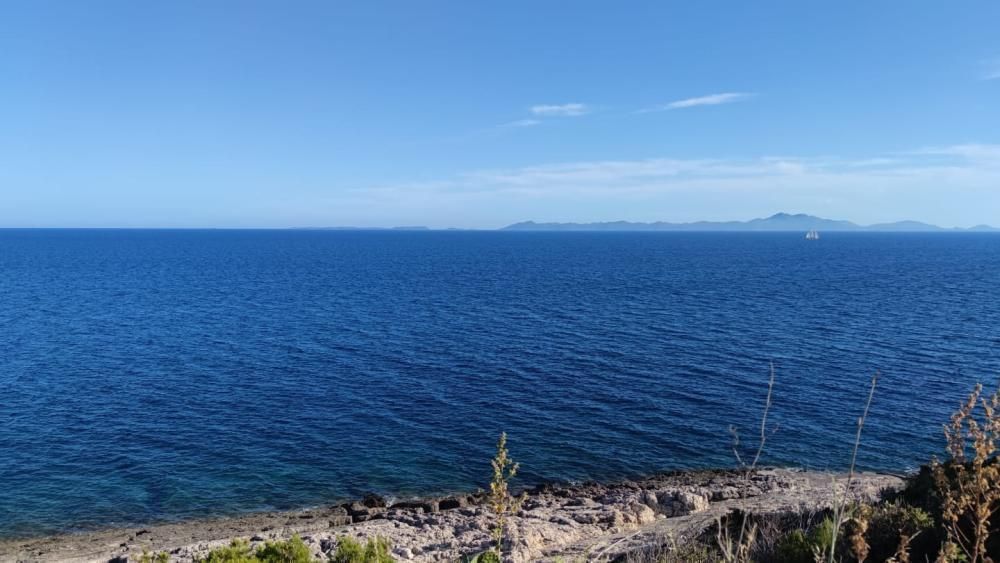 Вилла на Корчуле, Хорватия, 350 м² - фото 3