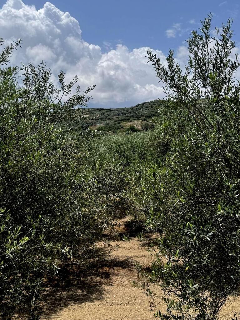 Дом в Ираклионе, Греция, 105 м² - фото 11