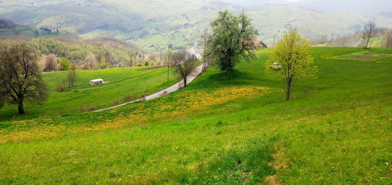 Земля в Мойковаце, Черногория, 3.1 Га - фото 3